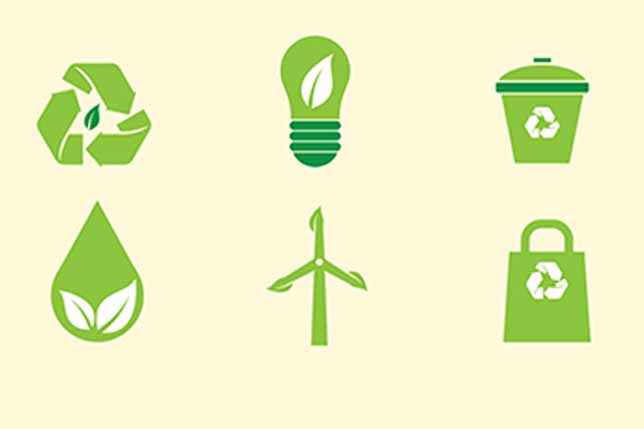 Sustentabilidad en las Pymes Avanzado