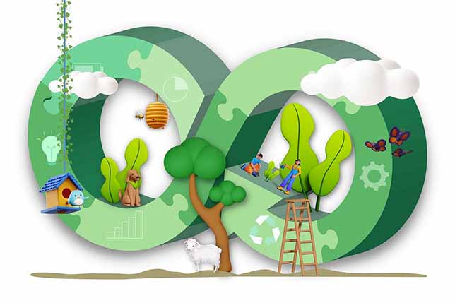 Sustentabilidad en las Pymes Experto